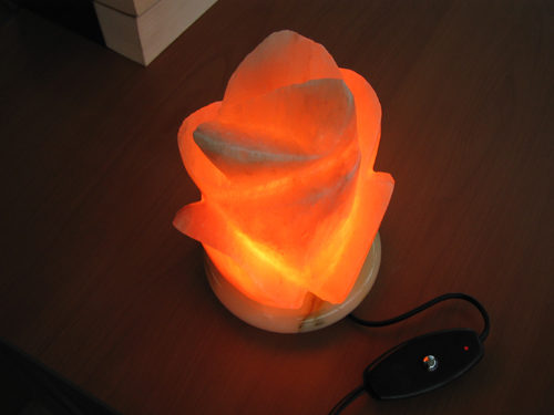 장미 모양으로 만들어진 소금 램프